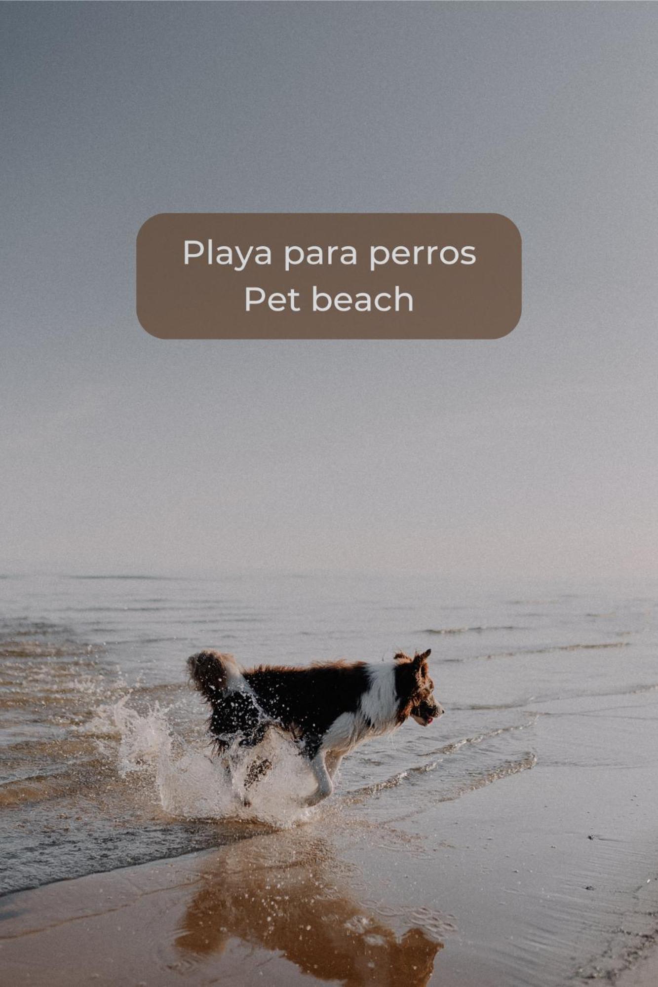 Basa Paradise - Piscina, Terraza, Wifi Y Parking コラレホ エクステリア 写真